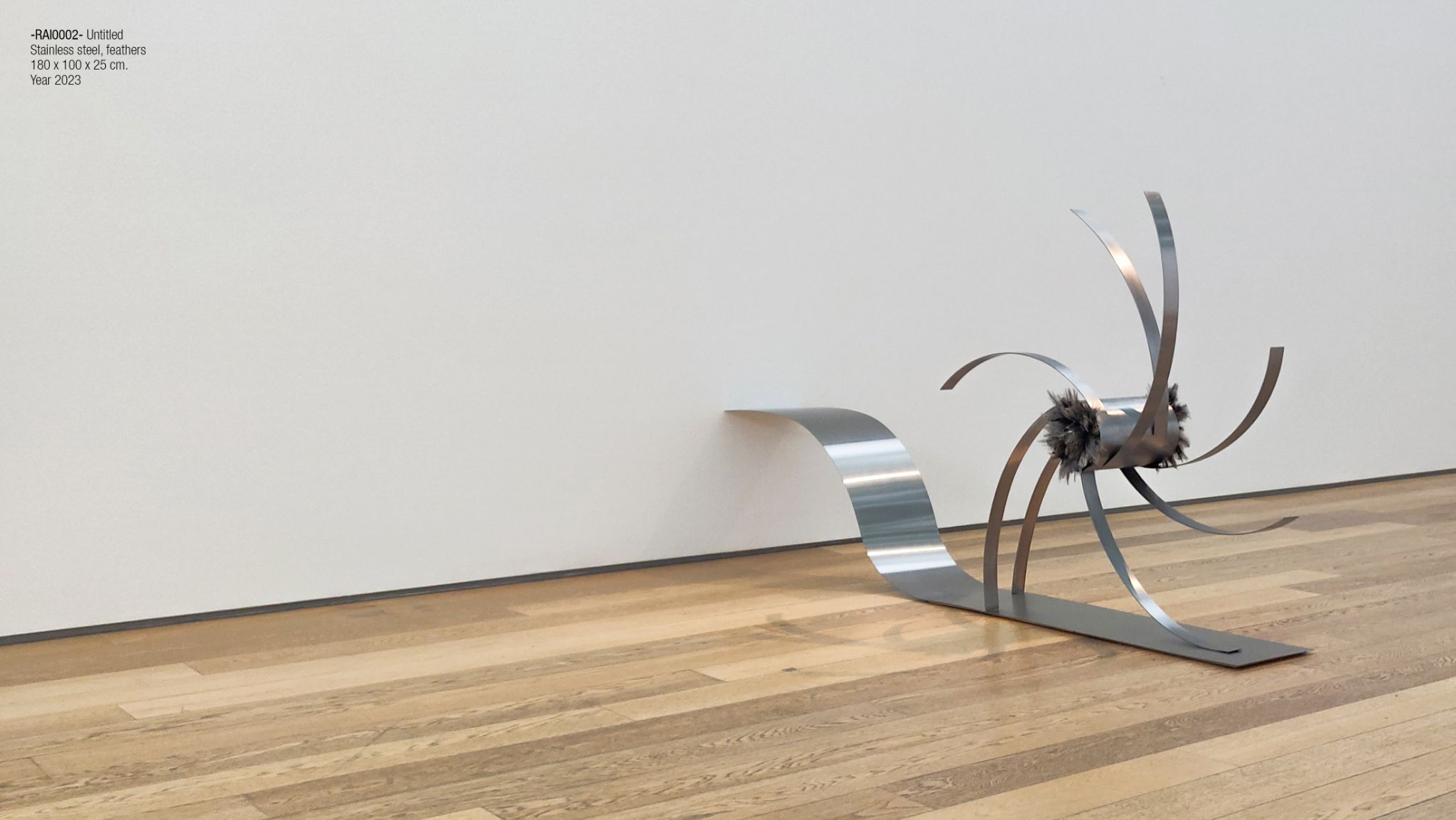 2025 DM port.para web. P16